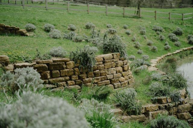 Aménager un jardin en pente : ce qui retient vraiment la terre Aménager un jardin en pente : ce qui retient vraiment la terre