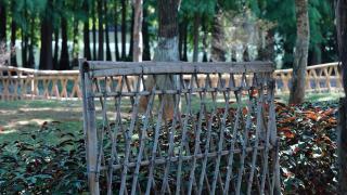 Clôture jardin : pose et installation par des paysagistes