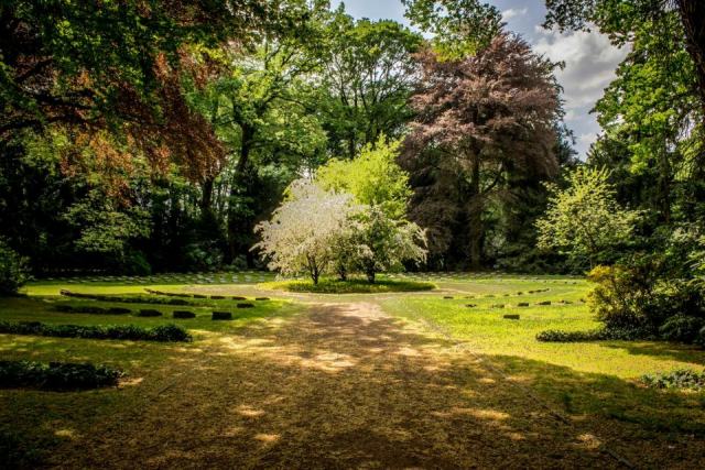 Créer son jardin : de l'étude du terrain à la plantation finale