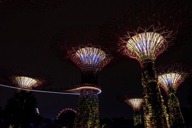 Éclairage de jardin : créer une atmosphère nocturne et sécuriser l'extérieur