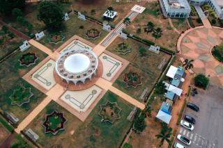 Élagage et abattage d'arbres : intervention sécurisée en Charente