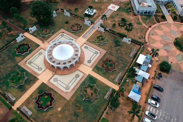 Élagage et abattage d'arbres : des interventions qui demandent expertise et sécurité