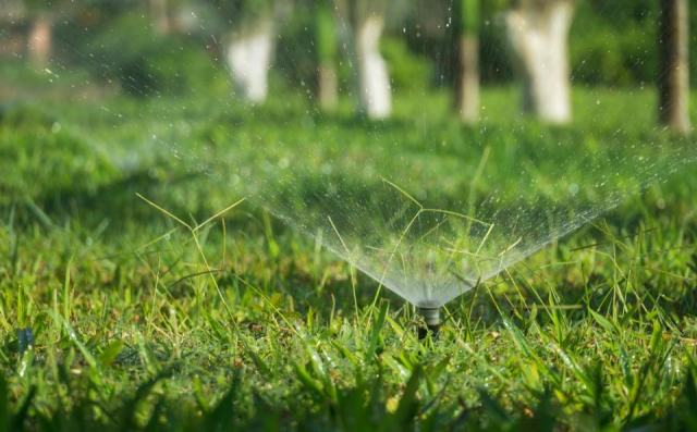 Irrigation de jardin : un arrosage automatique économe et efficace
