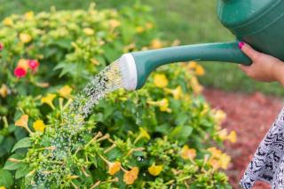 Irrigation de jardin : système d'arrosage automatique intégré
