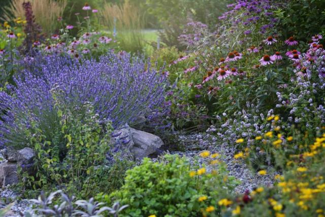 Jardin écologique : aménager en faveur de la biodiversité sans sacrifier l'esthétique