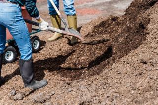 Paillage jardin : quel paillis choisir et quand pailler