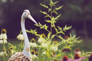 Nos réalisations en paysagisme : jardins créés en Charente