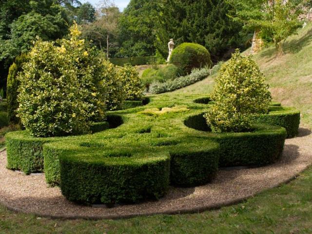 Planter des arbres et des arbustes : les choisir et les installer durablement