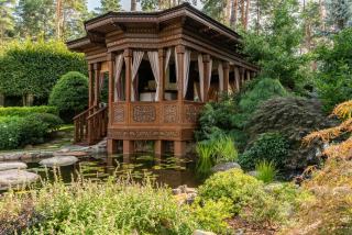 Bassin de jardin réussi, du creusement à l'entretien
