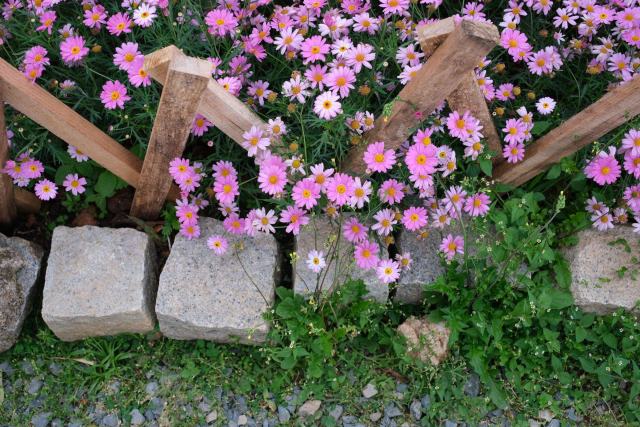 Bordure de jardin en acier corten, bois ou pierre : le choix qui dure Bordure de jardin en acier corten, bois ou pierre : le choix qui dure