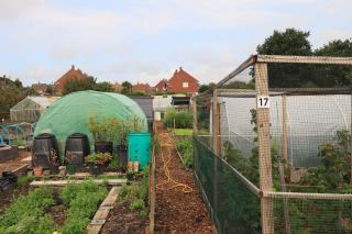 Compost brun et friable saisi à la main devant un composteur en bois