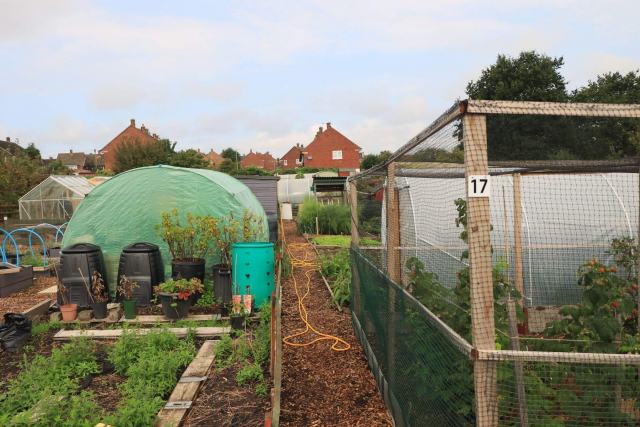 Compost mûr prêt à être étalé Compost brun et friable saisi à la main devant un composteur en bois