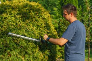 Crédit d'impôt jardinage : travaux éligibles et démarches