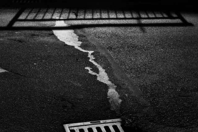 Terrain qui garde l'eau : reconnaître un sol mal drainé et le drainer pour de bon Terrain qui garde l'eau : reconnaître un sol mal drainé et le drainer pour de bon