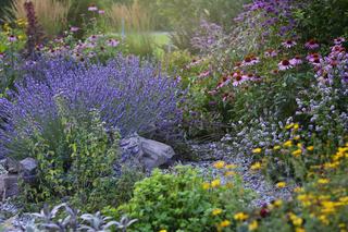 Jardin écologique, principes, plantes et gestion de l'eau