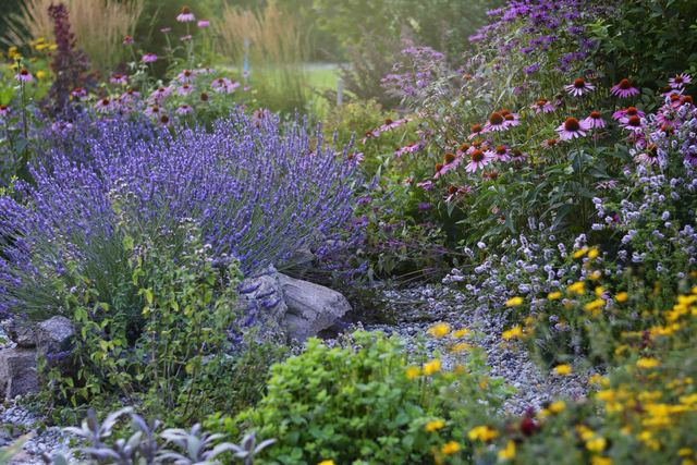 Créer un jardin écologique qui reste beau toute l'année Créer un jardin écologique qui reste beau toute l'année
