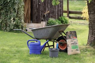Paillage jardin : quel paillis choisir et quand pailler