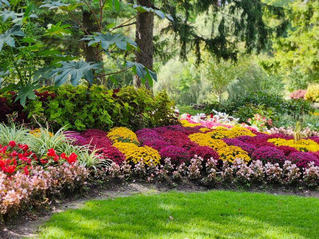 Composer un massif fleuri : plantes, hauteurs et floraisons successives Composer un massif fleuri : plantes, hauteurs et floraisons successives