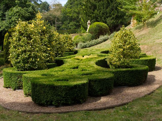 Planter des arbres et des arbustes qui reprennent vraiment Planter des arbres et des arbustes qui reprennent vraiment