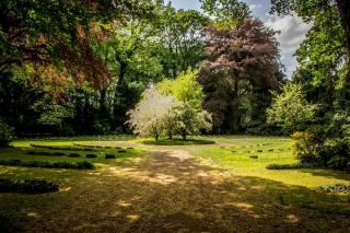 Création de jardin, du plan paysager aux premières plantations