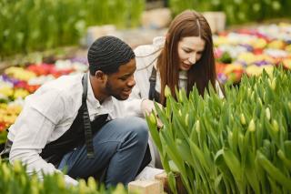 Entretien jardin, prestations, tarifs et calendrier saisonnier