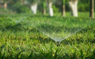 Irrigation de jardin, quel arrosage pour chaque zone